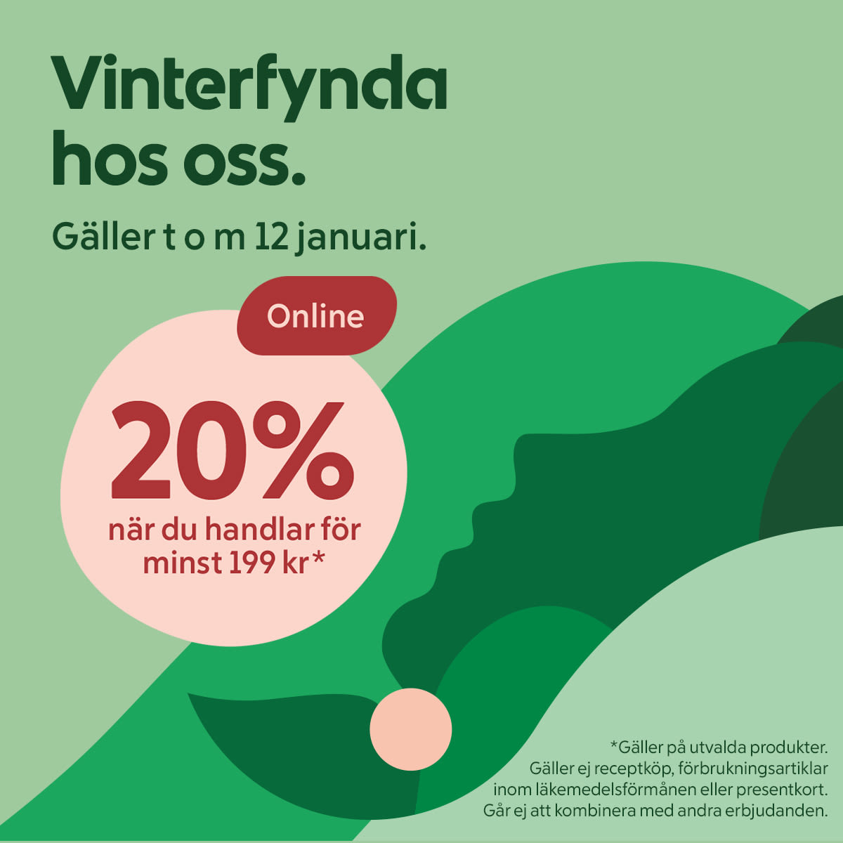 Text om vinterfynda online med 20% rabatt vid köp över 199 kr, gäller till 12 januari och på utvalda produkter.